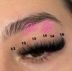 Cat Eye Lash Extensions Volume Map, Long Cat Eye Lash Extensions Map, Full Volume Lash Extensions Map, Fox Eye Eyelash Extensions Mapping, Lash Mapping Ideas, Mega Volume Hybrid Lash Extensions, Volume D Curl Lash Extensions, Cat Eye Lash Extensions With Color, Cat Eye Volume Lash Extensions Mapping