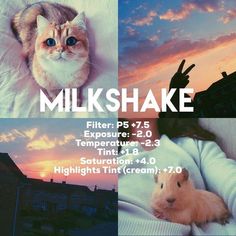 a collage of photos with the words milkshake on it and an image of a cat