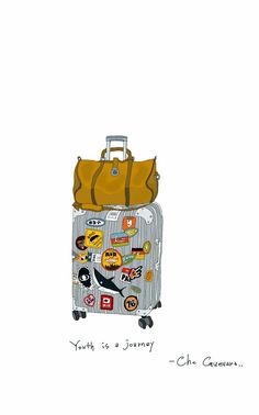 a piece of luggage with stickers all over it