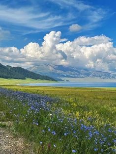 Rural Aesthetic, Nature Scape, Valley Aesthetic, Calm Landscape, Plains Landscape, Xinjiang China, Simple Landscape, Water Landscape, Field Landscape