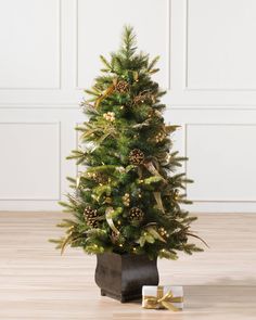 a small christmas tree in a black pot with gold ribbon and pine cones on top