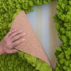 a person is holding a cone in the middle of some green moss covered wallpaper