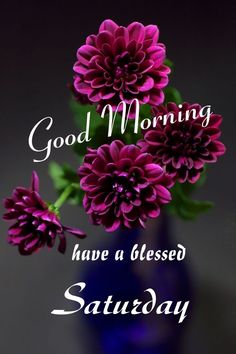 purple flowers are in a blue vase with the words good morning have a blessed saturday