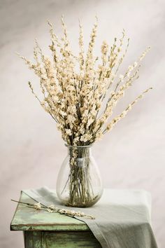 dried flowers in a glass vase on a table