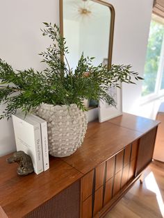 a potted plant sitting on top of a wooden dresser next to a mirror and book