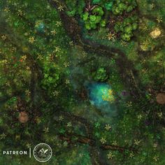 an aerial view of the forest with lots of trees and flowers on it, looking down at