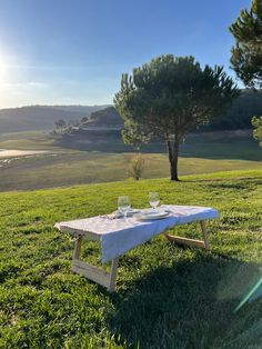 a picnic table with two glasses on it in the middle of a grassy field next to a tree