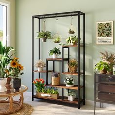 a living room filled with lots of plants and potted plants on top of shelves