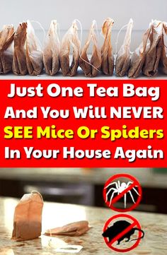 a sign that says just one tea bag and you will never see mice or spideres in your house again