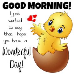 a yellow bird sitting on top of an egg with the words, good morning i just wanted to say that i hope you have a wonderful day