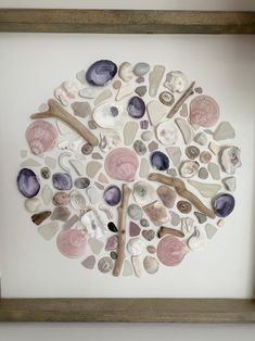 a sea shell tree is displayed in a shadow box