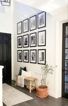 a living room with pictures on the wall and a potted plant next to it