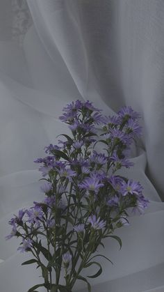 some purple flowers are in a vase on a white table cloth with sheer fabric behind them