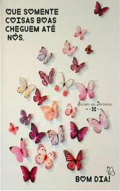 a bunch of butterflies that are on the wall