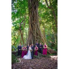 a group of people standing in front of a tree