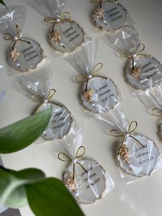 small bags filled with cookies sitting on top of a white table next to a green plant