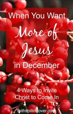 red berries with the words when you want more of jesus in december, 4 ways to write