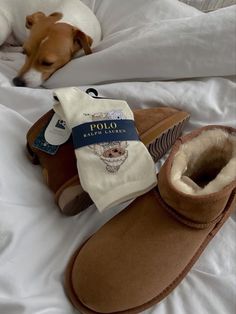 A cute dog is sitting on a bed and a girls taking a picture of a pair of ankle boots UGGs and polo socks Ralph Lauren Socks Ugg, Ralph Lauren Socks, Stil Inspiration, Fall Fits, Winter Fits, Swag Shoes, Elegantes Outfit, Winter Aesthetic