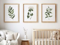 three framed pictures hang on the wall above a crib