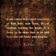 Soul Journey, Better Alone, Buddha Quote, Walk Alone, Quotes Words, Great Quotes