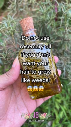 It’s so easy – learn how to make rosemary oil for hair growth! Rosemary Uses Diy, Herbs To Grow Hair, Coconut Oil And Rosemary Oil Hair Growth, Boiling Rosemary For Hair, Castor Oil Rosemary Hair Growth, Diy Rosemary Oil For Hair Growth, Homemade Oil For Hair Growth, Rosemary Water For Hair Growth Results, How To Make Rosemary Oil