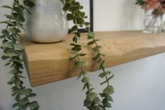 a plant is growing on the edge of a shelf