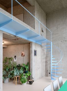 a room that has some plants on the table and stairs to the second floor in it