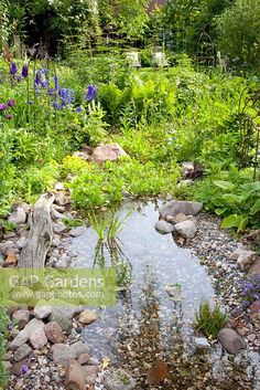 a garden with rocks, plants and water in the foreground is a small pond