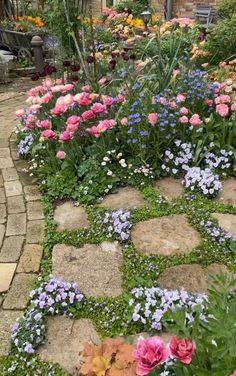 a garden filled with lots of colorful flowers