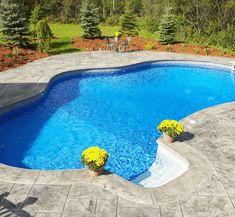 an empty swimming pool surrounded by trees and landscaping area, with two yellow flowers in the foreground