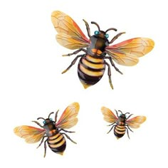 three bees are shown in different positions on a white background