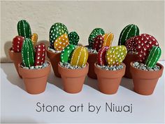 several small potted plants with different colored cacti in them and the words stone art by niuqi written below