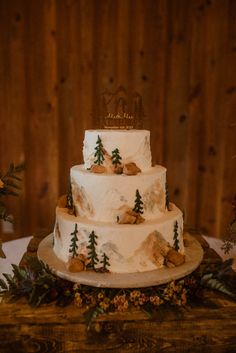 a wedding cake with trees and rocks on it