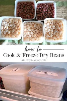 how to cook and freeze dry beans in the refrigerator with instructions on how to use them