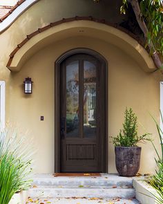 the front door to a home with potted plants