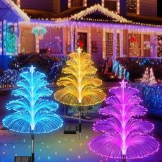 brightly lit christmas trees in front of a house