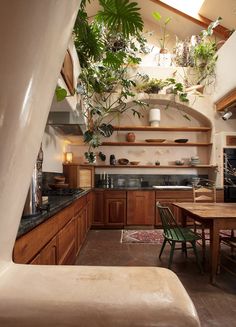 a kitchen filled with lots of wooden furniture and plants hanging from the ceiling above it