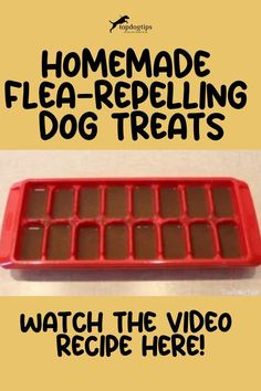 an ice tray with chocolate in it and the words homemade flea - repelling dog treats