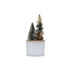 two small trees are in a white pot