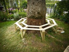 a wooden bench sitting under a tree in the grass