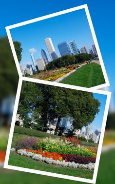 two pictures of the same city with trees and flowers