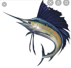 an illustration of a fish with long, black tail and orange fins on it's head