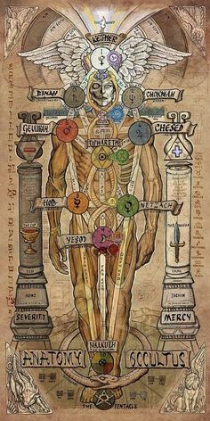 an image of the human body with many symbols on it