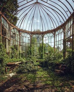 an abandoned greenhouse with lots of plants growing inside