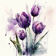 watercolor painting of purple tulips on white background