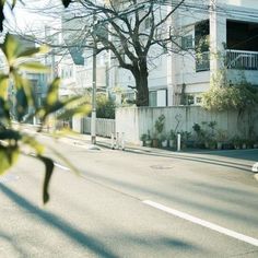 an empty street with trees and buildings in the background