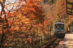 a train traveling down tracks next to trees with orange and yellow leaves on it's sides