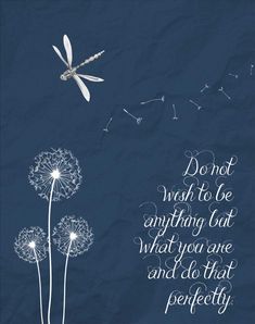 a dandelion with the words don't wish to be anything but what you are and do that perfectly