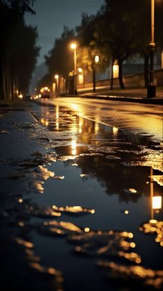 a wet street at night with lights reflecting in the puddles on the pavement and trees