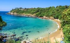 people are swimming in the clear blue water on a beach with green trees and rocks